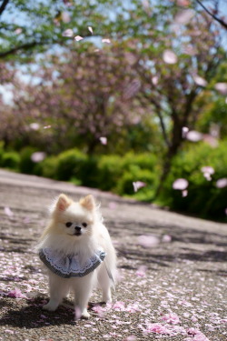 2022年5月定例会写真