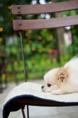 2022年6月定例会写真