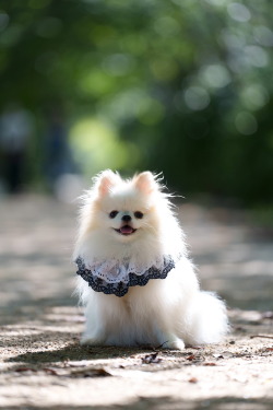 2022年9月定例会写真