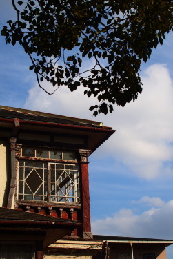 2025年3月定例会写真