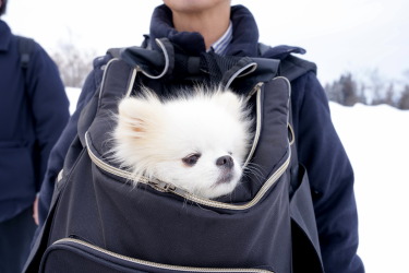 2025年4月定例会写真