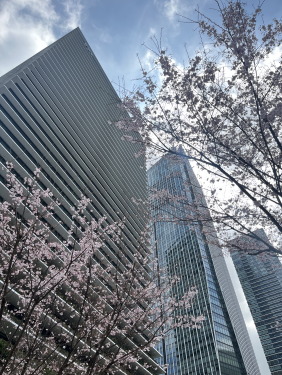 2025年5月定例会写真