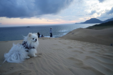 2025年6月定例会写真