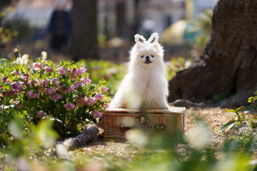 2025年8月定例会写真