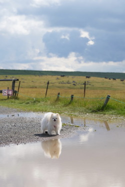 2025年9月定例会写真